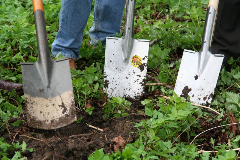 pepiniere-ST VALLIER DE THIEY-min_work-lawn-flower-tool-green-backyard-1103633-pxhere.com